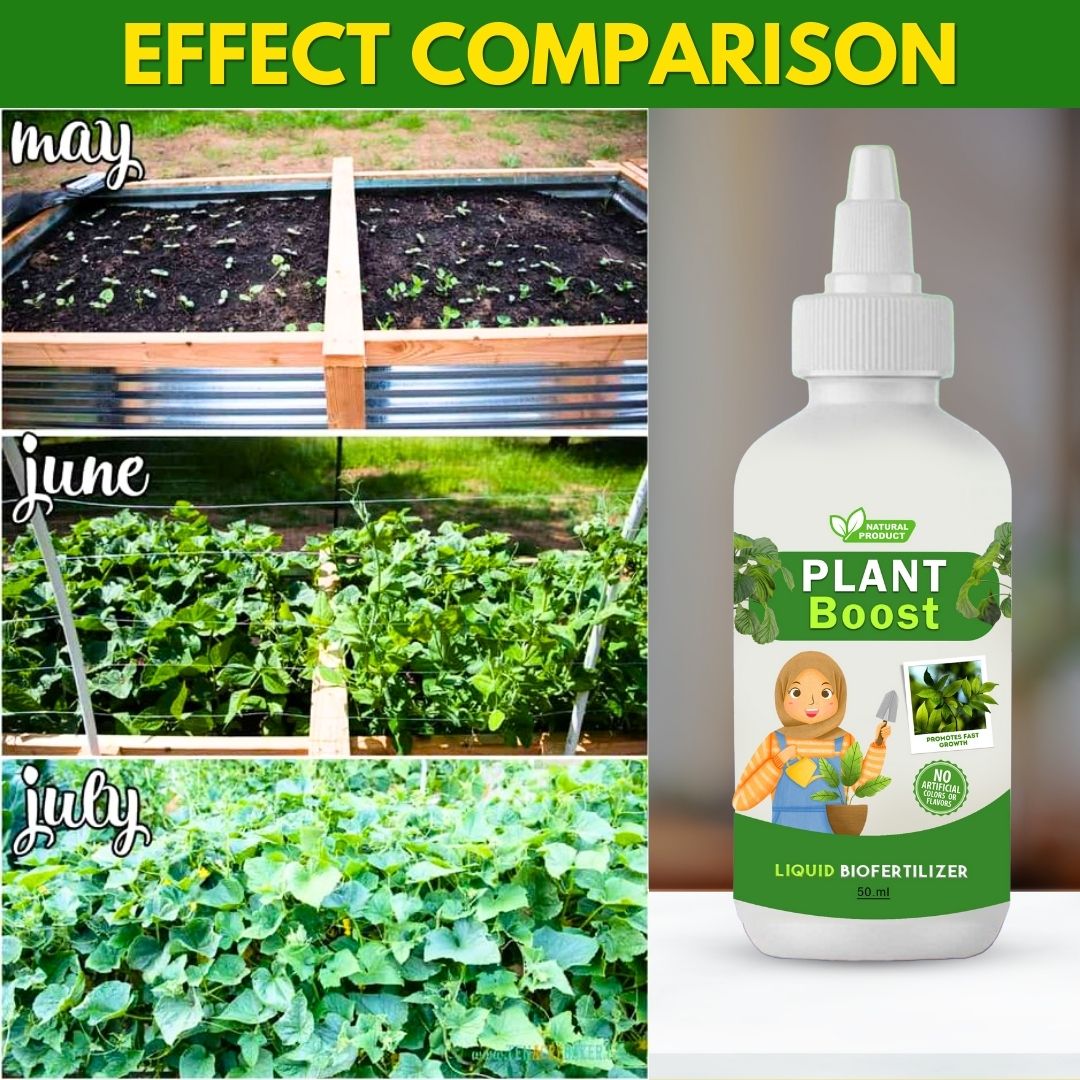 Organic Plant Boost - Faster Growth & Stronger Roots (Pack of 3)