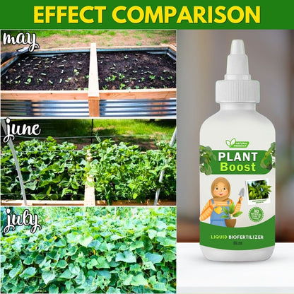 Organic Plant Boost - Faster Growth & Stronger Roots (Pack of 3)