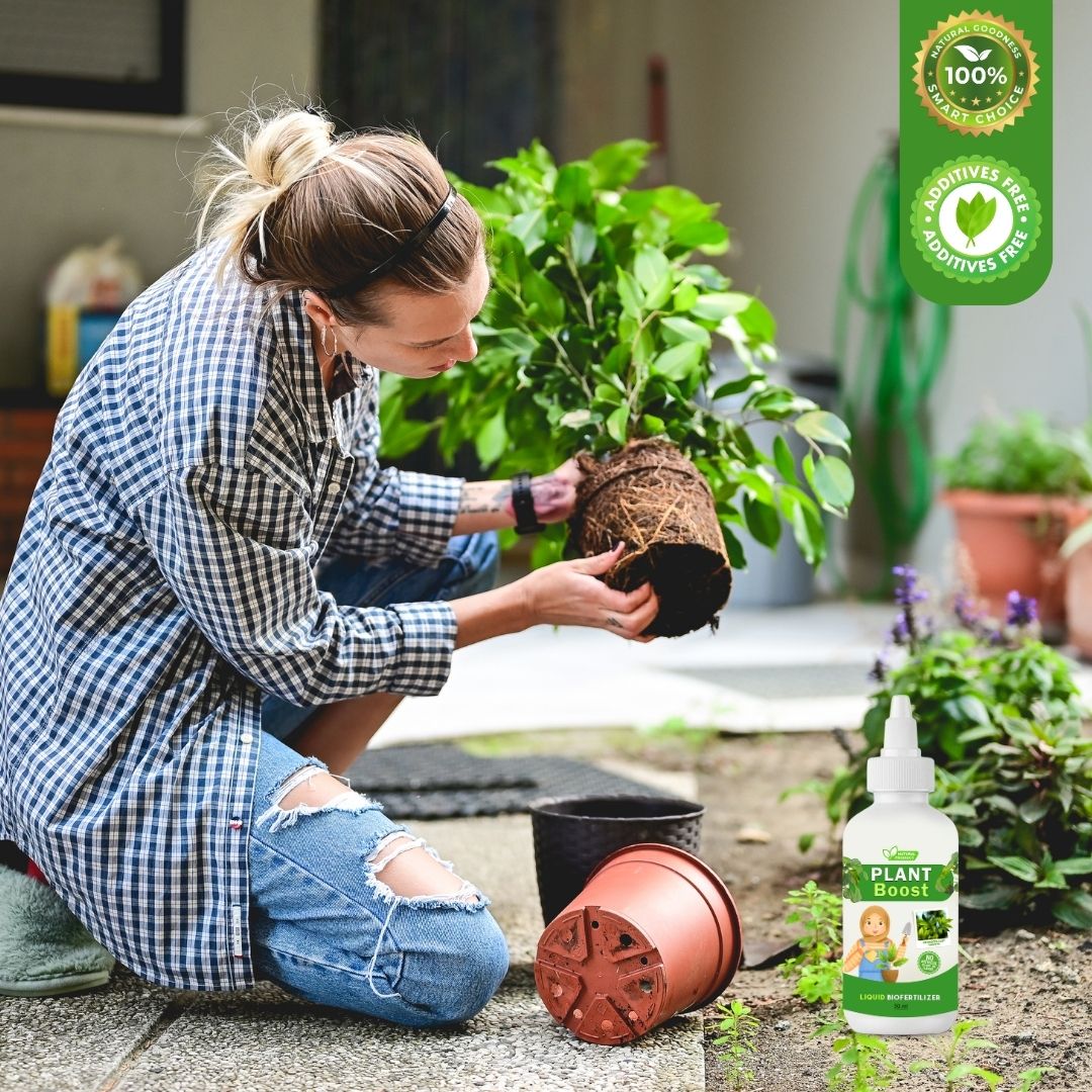 Organic Plant Boost - Faster Growth & Stronger Roots (Pack of 3)