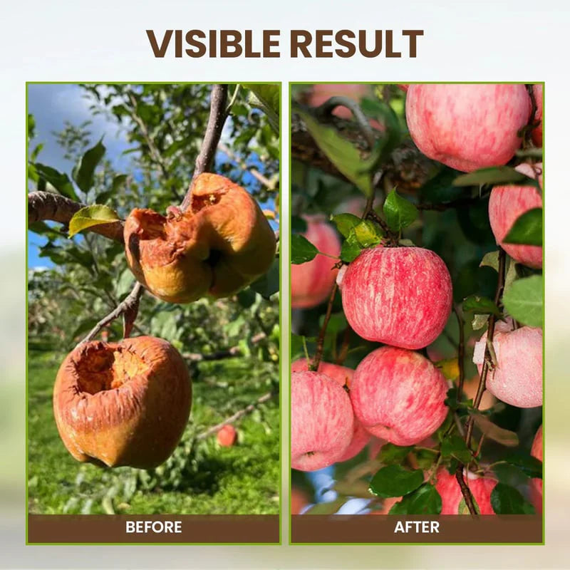 Soil Pro Activator (Buy 1 Get 1 Free)