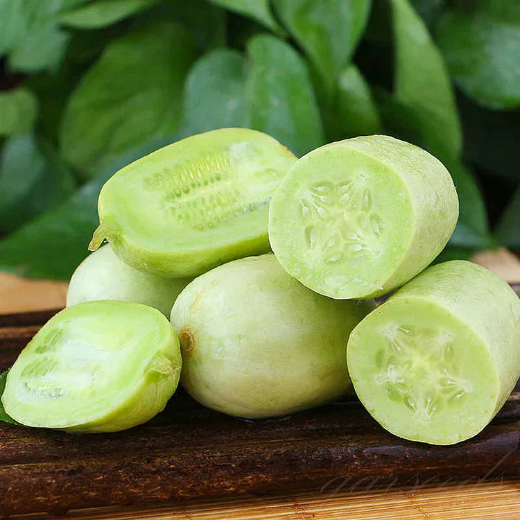 Golden Lady Cucumber Seed (Pack of 100 seeds)